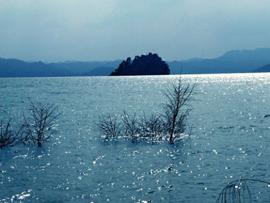 微湖夜月 微湖夜月