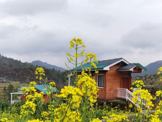 孔雀山庄别墅 孔雀山庄别墅