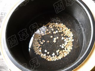 薏米百合炖雪梨 薏米百合炖雪梨