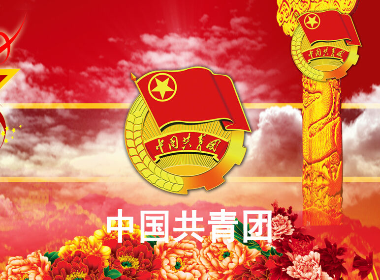 中国共产主义青年团总支部委员会 中国共产主义青年团总支部委员会