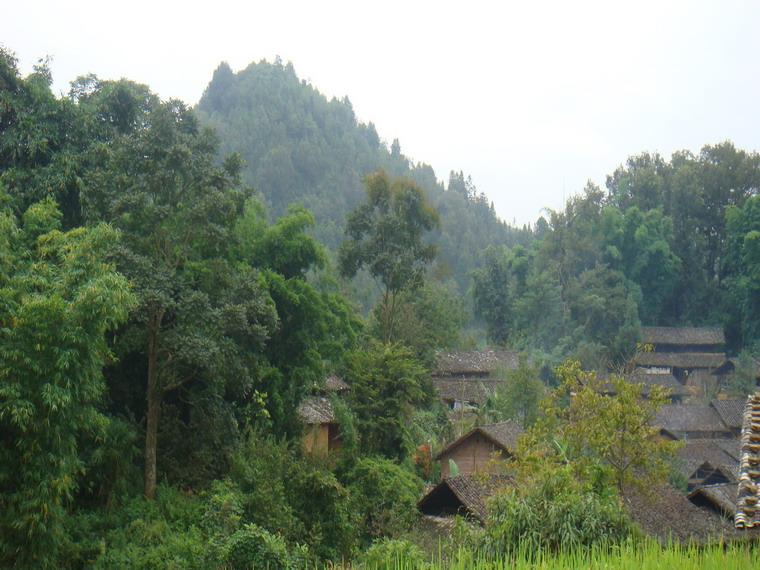 村貌 村貌