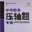 题型专练系列:中考数学·压轴题专练 题型专练系列:中考数学·压轴题专练