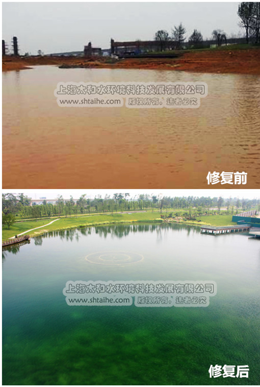 上海太和水环境科技发展有限公司 上海太和水环境科技发展有限公司