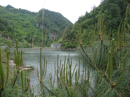 仁合村(黑龙江省伊春市嘉荫县下辖村) 仁合村(黑龙江省伊春市嘉荫县下辖村)