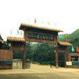 浙江九龙山国家森林公园 浙江九龙山国家森林公园