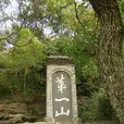 第一山国家森林公园 第一山国家森林公园