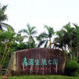 红树林海滨生态公园 红树林海滨生态公园