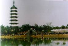 中国茶花文化园 中国茶花文化园