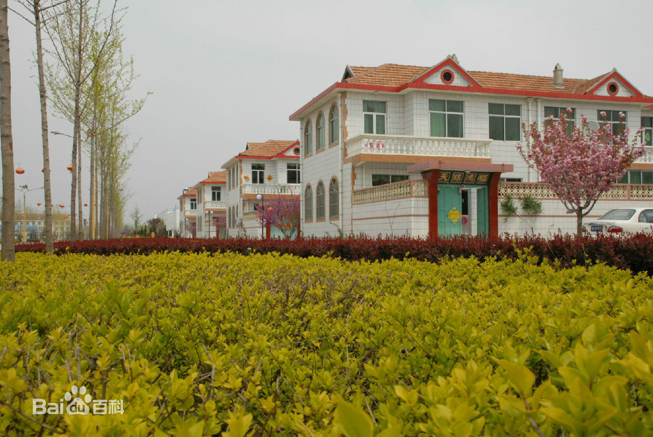 濯村 濯村