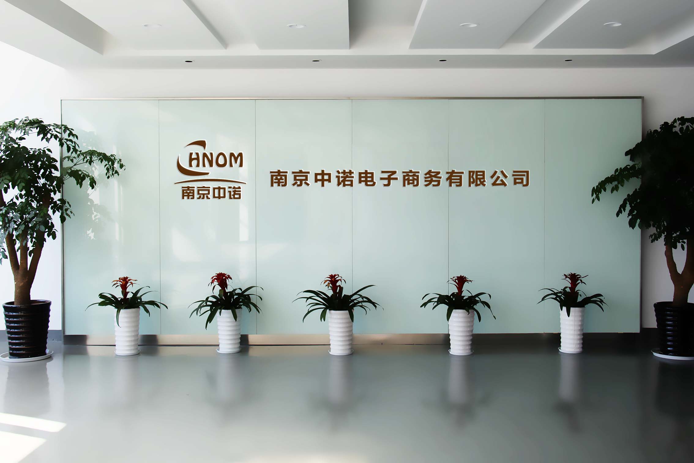 南京中诺电子商务有限公司 南京中诺电子商务有限公司