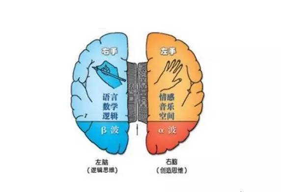 左脑思维 左脑思维