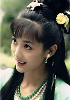 白眉大侠(1995年王文杰执导电视剧)