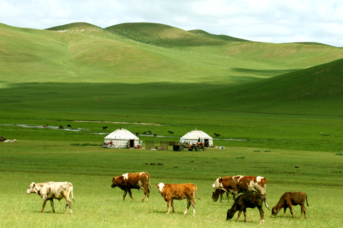西乌珠穆沁旗风景 西乌珠穆沁旗风景