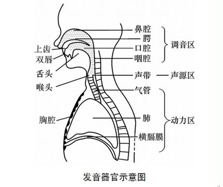 周期性结巴 周期性结巴