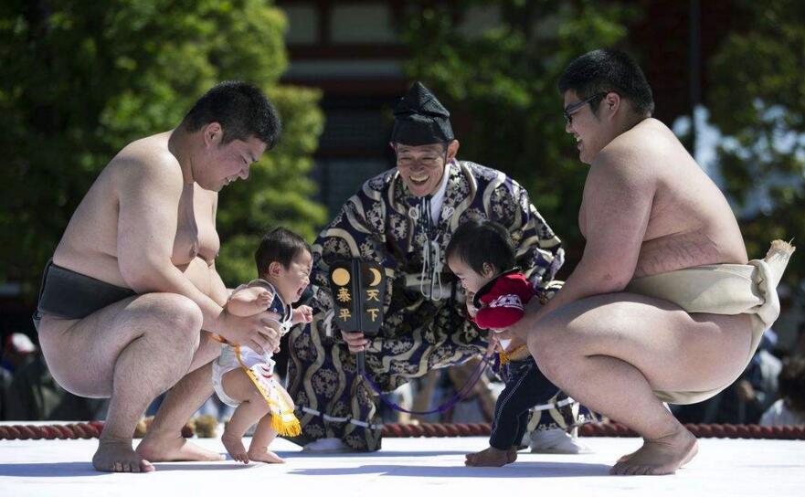 相扑 相扑