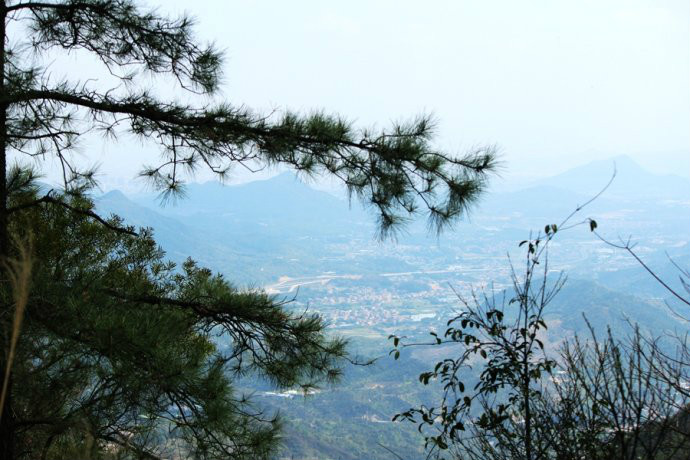 小坪森林公园 小坪森林公园