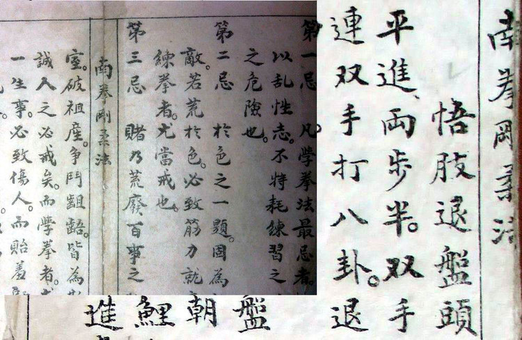 五支拳法 五支拳法