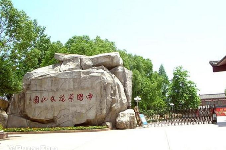 中国茶花文化园 中国茶花文化园