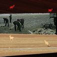 平衡(2002年彭辉执导的纪录片) 平衡(2002年彭辉执导的纪录片)