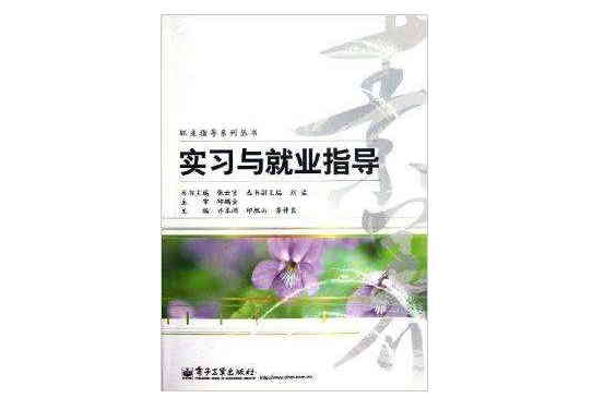 职业指导系列丛书:实习与就业指导 职业指导系列丛书:实习与就业指导