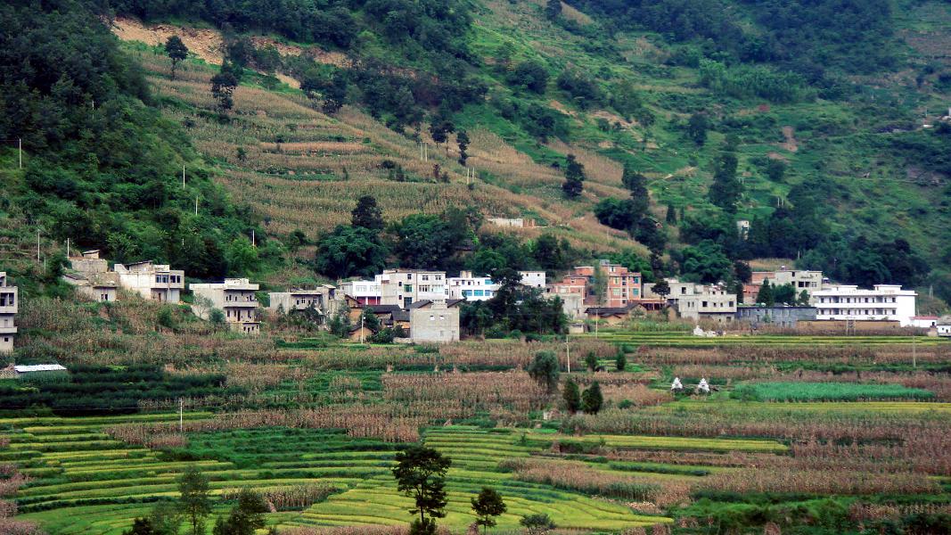村全貌 村全貌