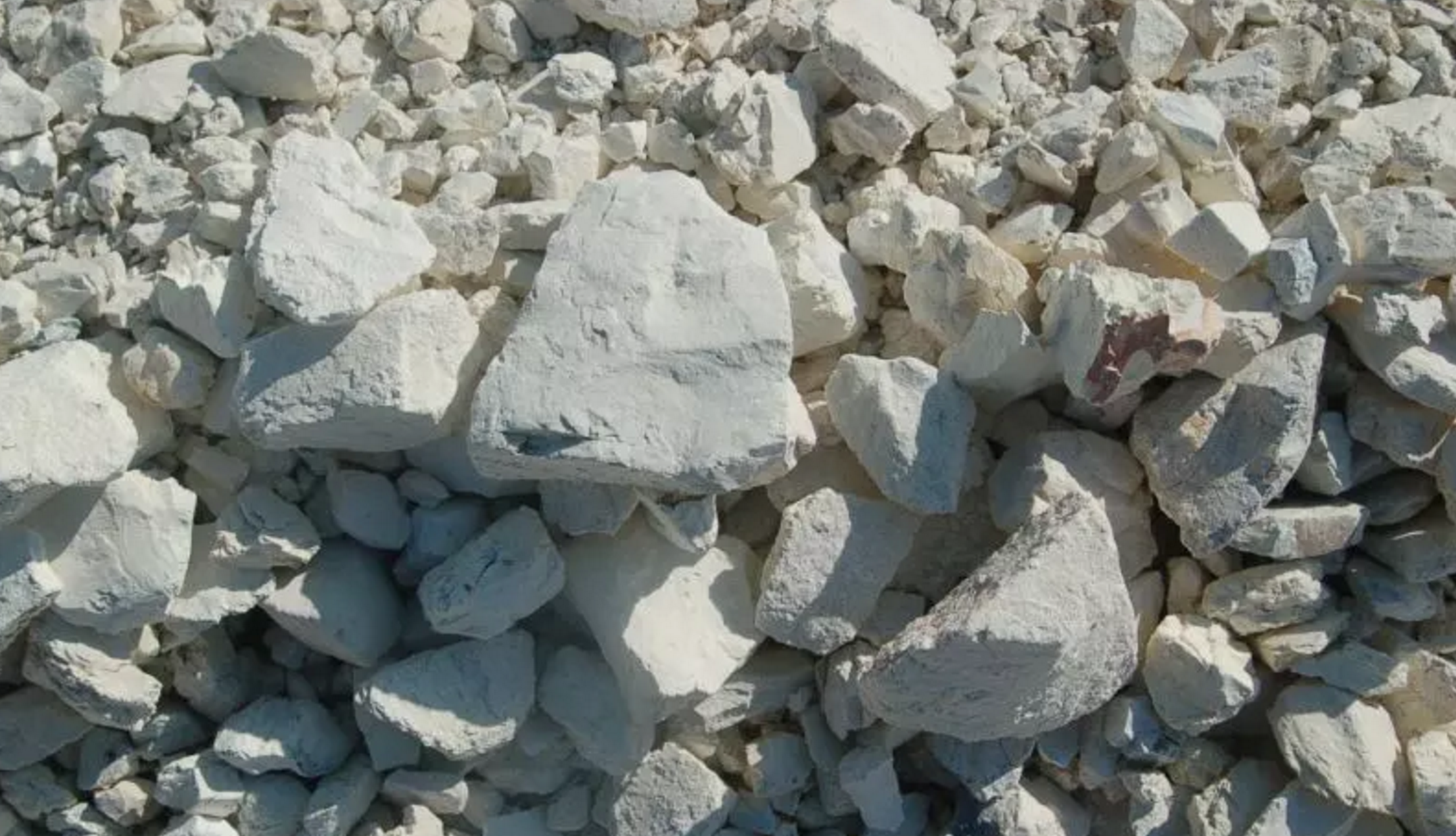 盐化硷土 盐化硷土