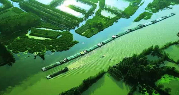 微山湖湿地红荷风景区(微山湖红荷湿地)