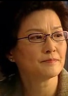 梅艳芳菲(2007年赵宝刚执导电视剧)