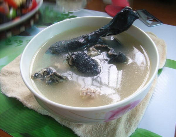 乌鸡黄芪汤 乌鸡黄芪汤