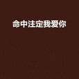 命中注定我爱你(同名小说) 命中注定我爱你(同名小说)