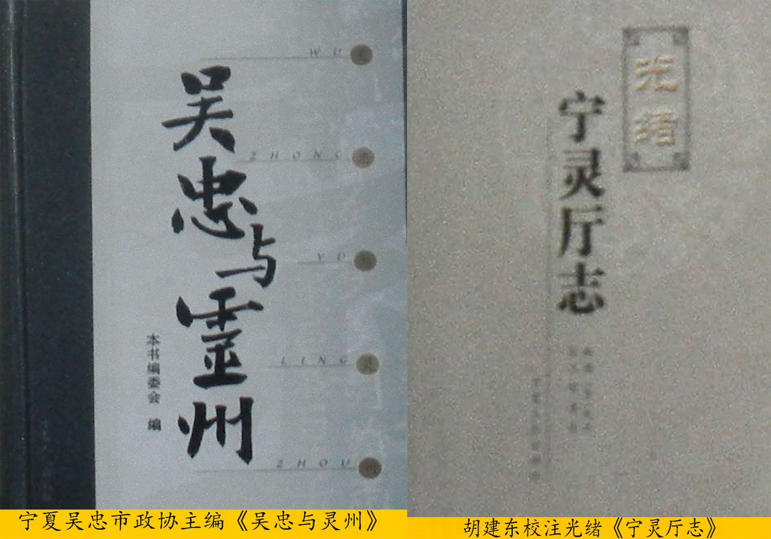 吴忠政协主编吴忠与灵州胡建东校注宁灵厅志 吴忠政协主编吴忠与灵州胡建东校注宁灵厅志