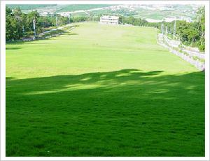 红山森林公园 红山森林公园