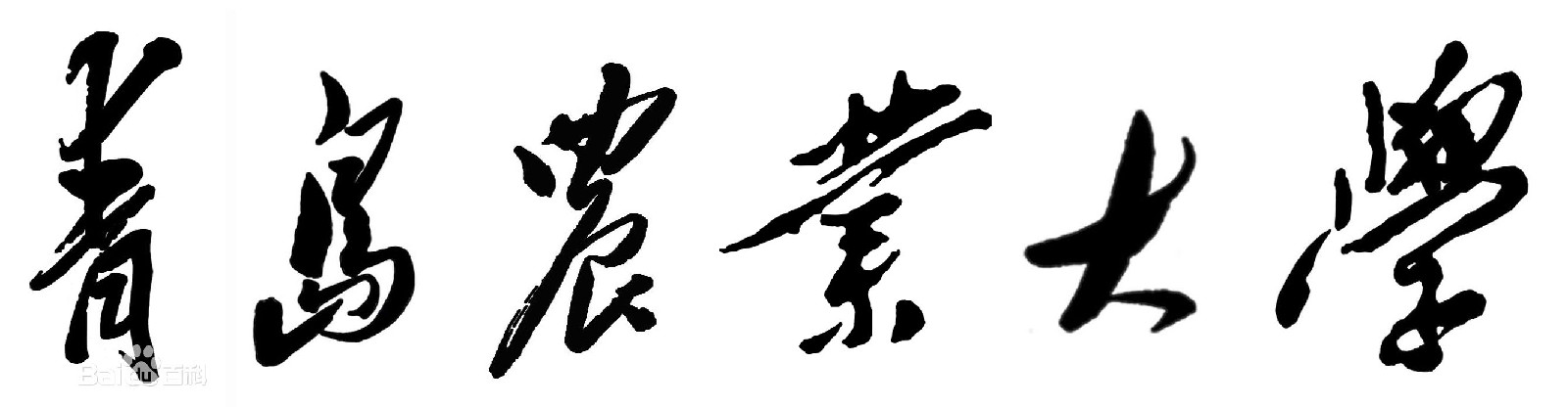 青岛农业大学标準字 青岛农业大学标準字