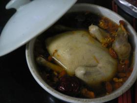 炖鸽子 炖鸽子