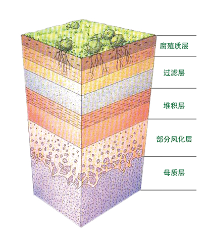 土壤化学吸收性 土壤化学吸收性