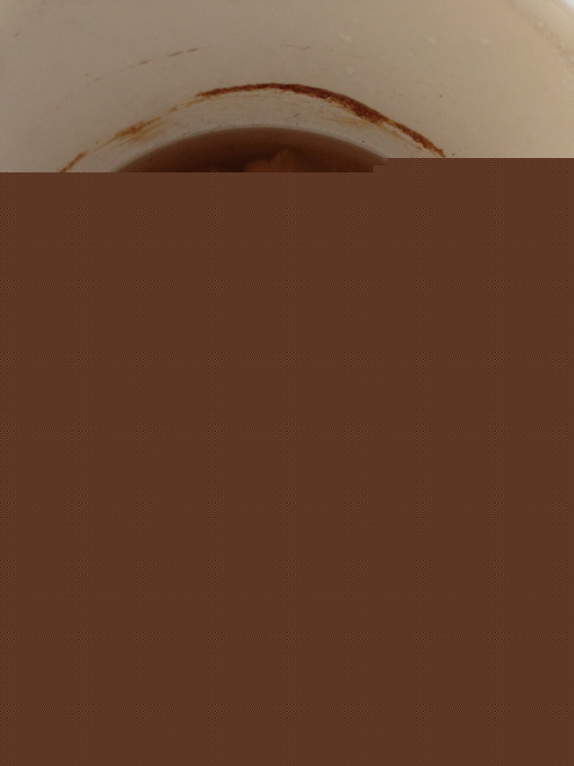 莲子牛奶羹