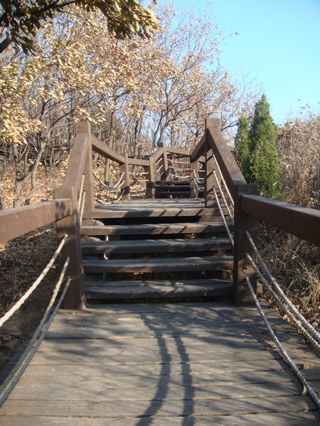与大自然零距离 与大自然零距离