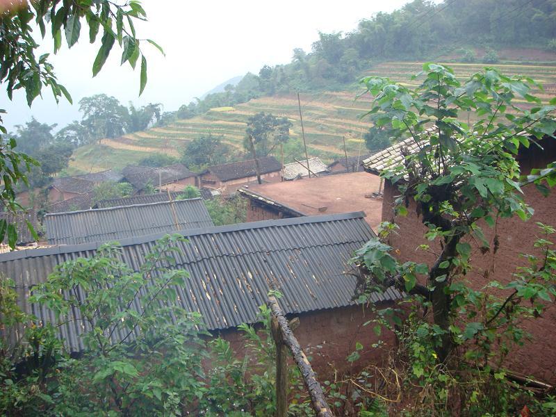 正坝自然村(翠华镇田元行政村下辖自然村) 正坝自然村(翠华镇田元行政村下辖自然村)