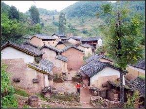 凤凰村 凤凰村