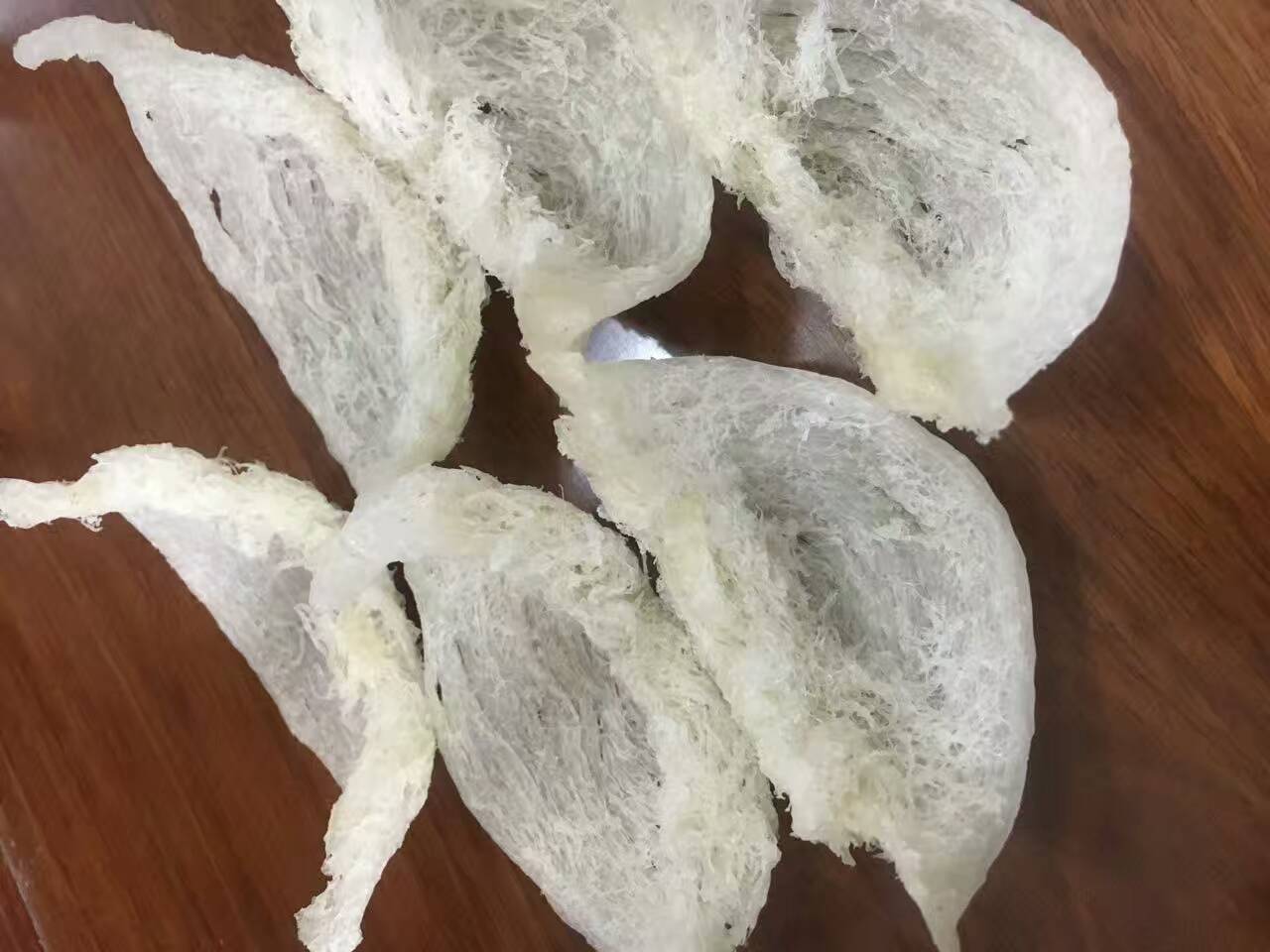 官燕 官燕