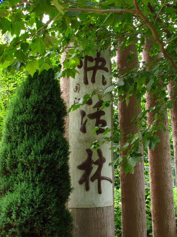 快活林 快活林