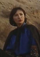 方世玉(1993年李连杰主演电影)