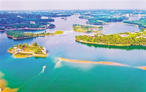 龙泉驿区(龙泉（成都市龙泉驿区）)