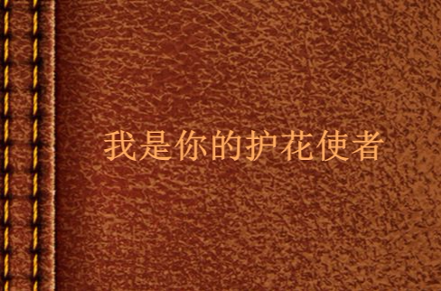 我是你的护花使者 我是你的护花使者