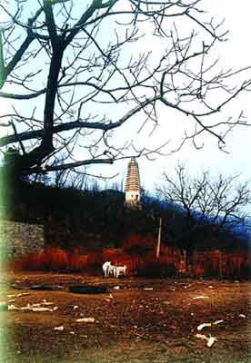 北少林寺 北少林寺