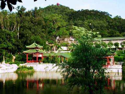 黄旗山顶挂灯笼 黄旗山顶挂灯笼
