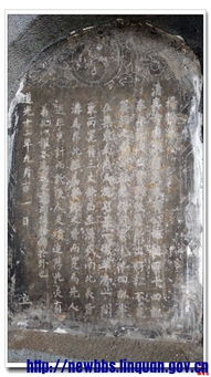 杨桥 杨桥
