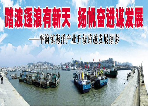 发展掠影 发展掠影