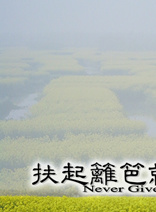戴江(新疆籍女演员)