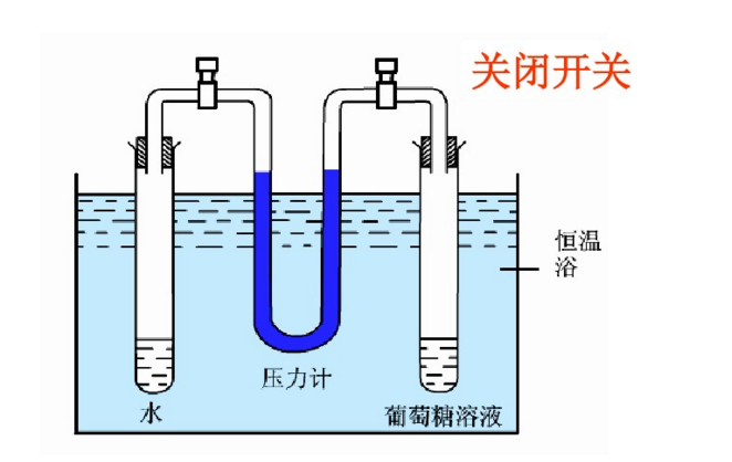 依数性 依数性